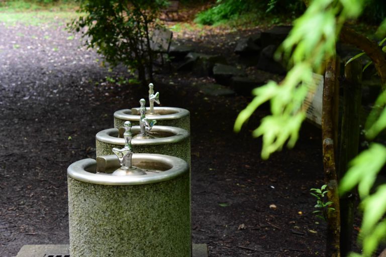 浄水器が変える水質と生活の質